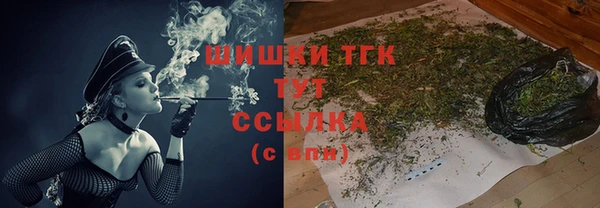 мдпв Михайловск