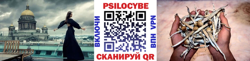 Галлюциногенные грибы прущие грибы  Сычёвка 