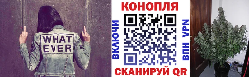 Канабис сатива  darknet формула  Сычёвка 